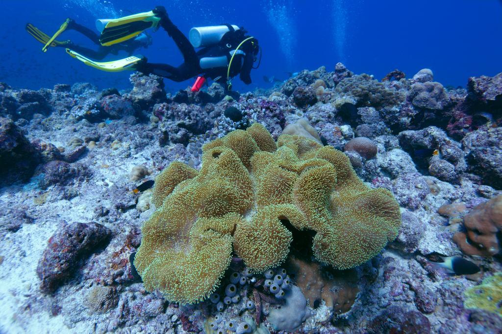 Ocean Beach Inn - Maldives Хангнаамеедхоо Екстер'єр фото